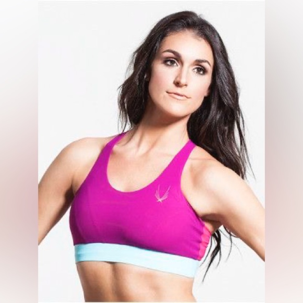 NWOT Lucas Hugh Bolt Fuchsia Colorblock Bra XS $125